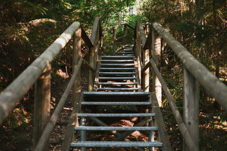 macro shooting of wooden staircase with railings in the depths of the Estonian forest on summer dayの写真素材