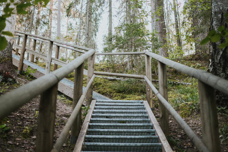 wooden staircase with railings in the depths of the Estonian forest on a summer dayの写真素材