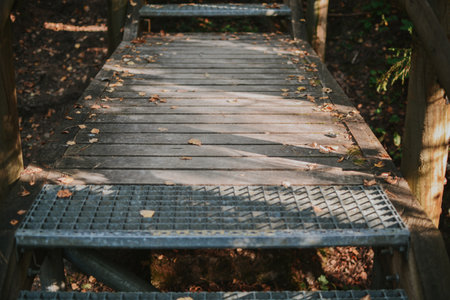 macro shooting of wooden staircase with railings in the depths of the Estonian forest in summerの写真素材