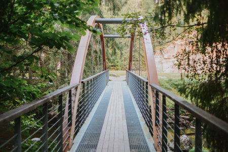 crossing a bridge over a river deep in the forest on a health trail in Estoniaの写真素材