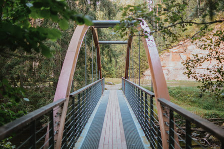 crossing a bridge over a river deep in the forest on a health trail in Estoniaの写真素材