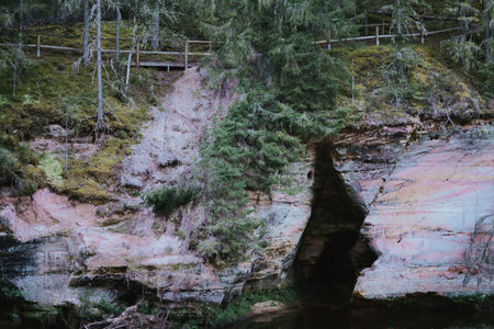 Beautiful sandstone cliffs with trees in Southern Estonia, Taevaskoda nature trail on a summer dayの写真素材