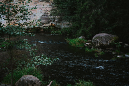 river with stones and a large current with sandstone cliff right in the middle of the forestの写真素材