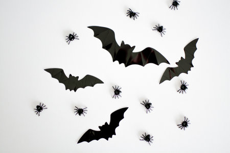 Halloween decorations in the form of spiders and bats on a white backgroundの写真素材