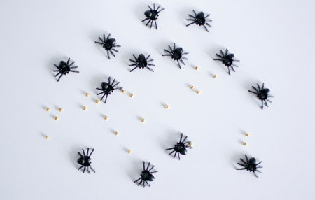 macro shooting of Halloween decorations in the form of black spiders and golden balls on a white backgroundの写真素材