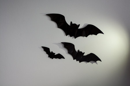 black bats closeup with shadow from light on white wall for halloween
