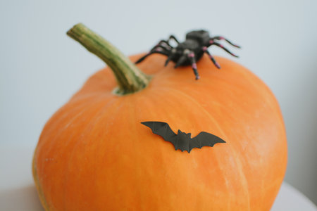 huge orange pumpkin with a spider, web and bat for the holiday of Halloweenの写真素材