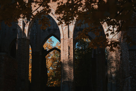 historical architecture of a medieval castle with red brick pillars in autumn weather with entranceの写真素材
