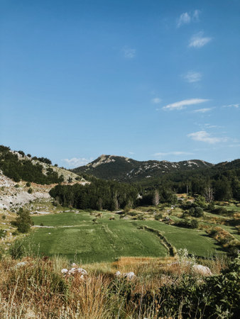 view from above to the mountains and mountain nature with plantsの写真素材