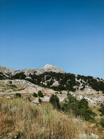 view from above to the mountains and mountain nature with plantsの写真素材