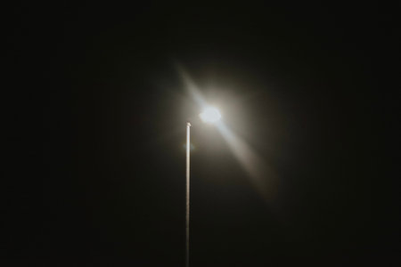 street lighting lantern with white light illuminates the entire park on Halloween night
