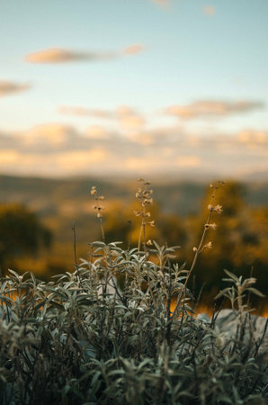view from the top of the mountain by the adriatic sea on stones and grass at sunset on vacationの写真素材