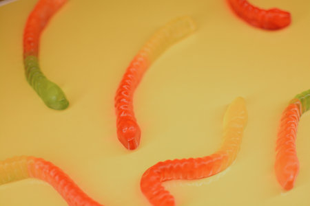 Gummy worms close-up of different sweet flavors for children on a bright yellow background. High quality photoの写真素材