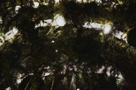 Gold Christmas tree decorations close-up on a spruce with a garland and with gifts for Xmas. High quality photoの写真素材