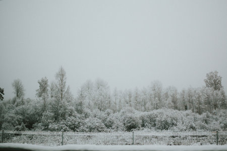 A winter landscape with snow-covered spruces, fog, and a cold atmosphere. View from a car through the side mirror. Snow blankets the trees, fence, and ground, creating a serene winter sceneの写真素材