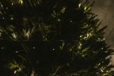 Lights from garland on christmas green tree close up for holiday decoration. High quality photoの写真素材
