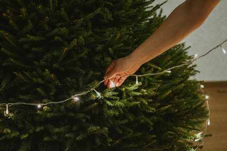 Woman hanging garland with lights on christmas tree by hand for decoration. High quality photoの写真素材