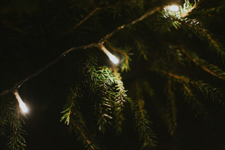 Lights from garland on christmas green tree close up for holiday decoration. High quality photoの写真素材