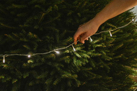 Woman hanging garland with lights on christmas tree by hand for decoration. High quality photoの写真素材