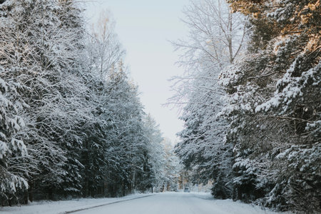 A winter road through a snow-covered forest with a passing car, road signs, and a surface of snow...