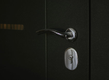 Metal entrance door with an iron lock for closing with a key close-up. Good tight door to protect...