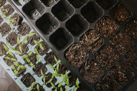 Various plastic forms for soil and growing sprouts. Preparing for the summer gardening season. High...