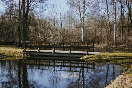 A wooden bridge over a pond with a mirror reflection of the sky and trees. A peaceful spring landscape creating an atmosphere of solitude, nature, and harmony. High quality photoの写真素材