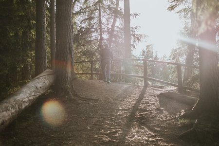 Man climbing mountain in the forest for hiking against bright sun rays. Travel to another country for hiking. High quality photoの写真素材