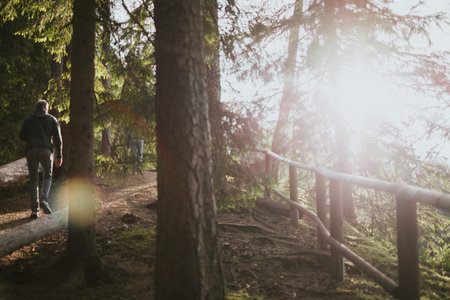 Man climbing mountain in the forest for hiking against bright sun rays. Travel to another country...