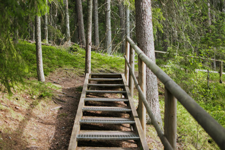 Wooden staircase with railings in the depths of the Estonian forest on a summer day. High quality photoの写真素材