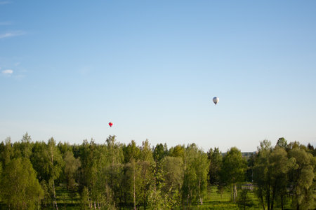 Summer landscape in Estonia with a green meadow and forestの写真素材