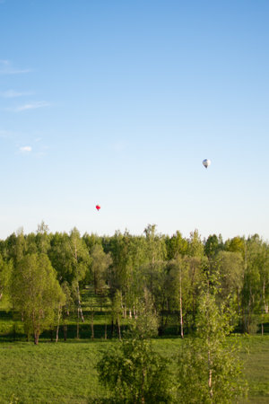 Summer landscape in Estonia with a green meadow and forestの写真素材