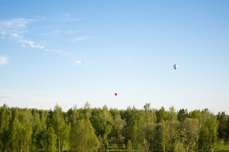 Summer landscape in Estonia with a green meadow and forestの写真素材