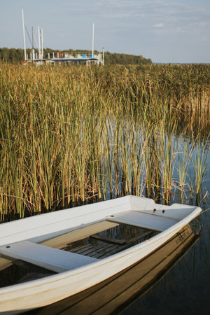 Close-up of a boat against reeds on a lake in Estonia on a summer evening. The calm atmosphere and reflection in the water create a feeling of comfort and tranquility. High quality photoの写真素材