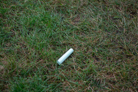 Blue chalk for sidewalk drawing lying on the grass outdoors. High quality photoの写真素材