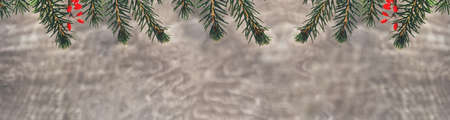 Christmas and New Year holiday banner with real green Christmas tree twigs and red berries on a blurred wooden background. Horizontal postcards, Copy Space.の写真素材