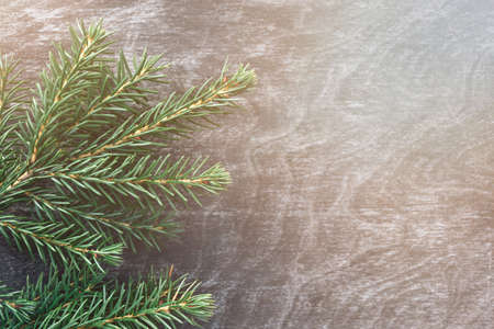 Close up green twig of Christmas tree on wooden vintage background. Sunlight. Christmas and New Year holiday. Copy Space and Flat lay, top view.の写真素材