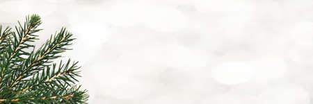 Banner made of green fresh Christmas tree branches on a background with Abstract white glare. Christmas and New Year concept. Place for text.の写真素材