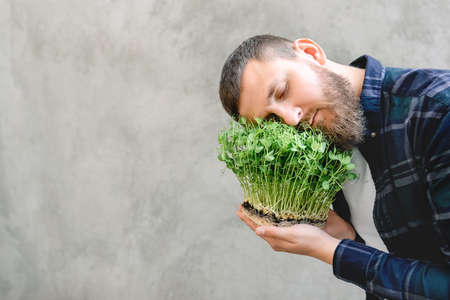 A man with beard holds in his hands microgreens of peas on the background of concrete wall. Guy in the shirt put his head on soft green grass. Germinating seeds at home or buying greens for a healthy diet.の写真素材