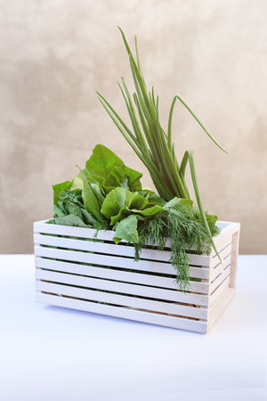 Fresh greens in a white box - green onions,dill, spinach on a white table on a background of concrete wall. Home delivery of fresh vegetables. Bright sunbeams. Copy Space.の写真素材