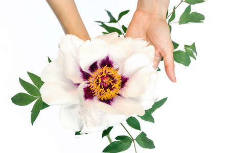 Front view of two beautiful gift boxes with satin ribbon on a background of natural concrete wall. Pink and red gift for Father's Day or Christmas. Copy space for textの写真素材