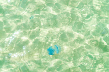 Front view Bouquet of yellow bright dandelions on a white background close up. Soft selective focus, copy space.の写真素材