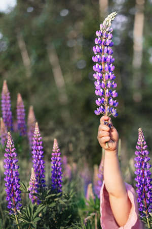 Grunge beautiful abstract bright blue plaster wall background with place for text or image. Crack on the backgrounds. The art of rough stylized texture.の写真素材