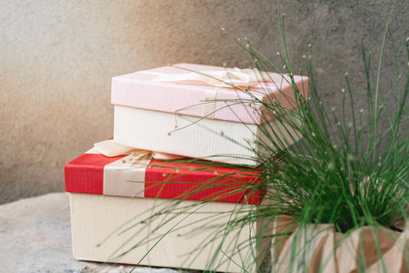 Front view of two beautiful gift boxes with satin ribbon on a concrete wall background. Blurred green flowerpot in kraft paper in the foreground. Pink and red christmas presentの写真素材