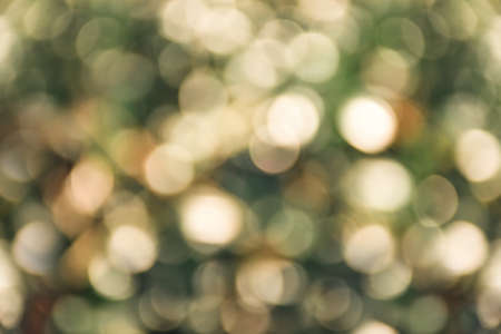 Defocused bright abstract spring and autumn background, with white shimmering sunspots. Bokeh. Holiday festive concept. Copy space for text. The concept of summer, warmth and relaxationの写真素材