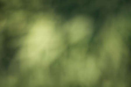 Defocused bright abstract spring background with white shimmering sunspots. Bokeh. Holiday festive concept. Copy space for text. Product presentation, Minimal summer concept.の写真素材