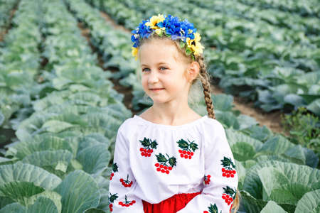 Portrait of girl in traditional embroidered Ukrainian shirt and blue-yellow crown against background of field of cabbage. Viburnum is symbol of Ukraine embroidered on childs clothes. Independence Dayの写真素材