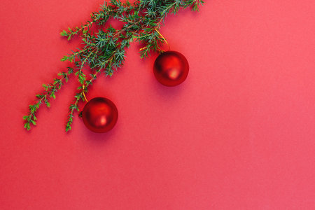Red Christmas decorations on a Christmas tree branch. Live fragrant juniper tree. Round toys....