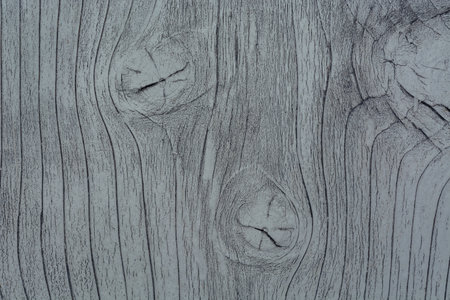 Texture of gray old painted wooden surface with cracks. Large Age rings, structural lines. Bright wooden table background, grunge. copyspace. soft selective focusの写真素材