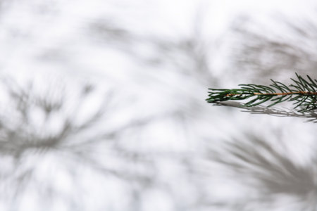 Defocused focus on silhouette of Christmas tree on white background. Christmas and new year concept. Background with place for your text, design basics, blanks for advertising.の写真素材